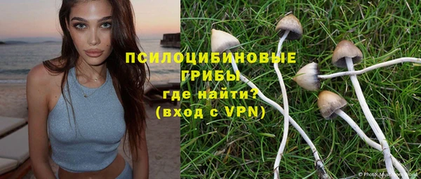 марки lsd Козельск