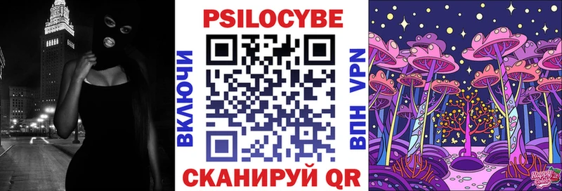 Псилоцибиновые грибы Cubensis  Купить  Полевской 
